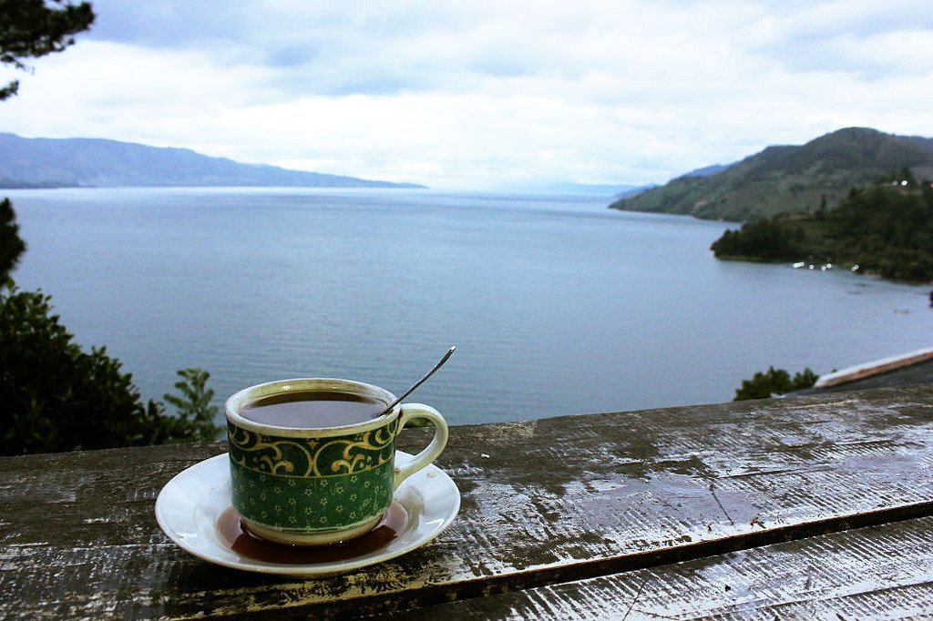 Kopi Danau Toba: Mengungkap Potensi Bijinya dan Dampaknya terhadap Petani Sumatera