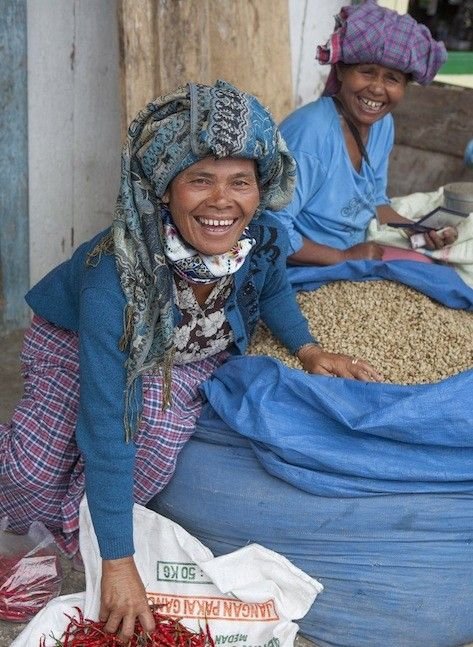 Nikmati Kelezatan dan Keunikan Kopi Toba, Permata dari Sumatera Utara